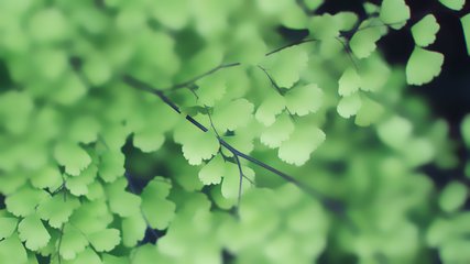 川越課外輔導(dǎo),成都培訓(xùn)班，中小學(xué)課外輔導(dǎo)機構(gòu),成都培訓(xùn)學(xué)校,川越培訓(xùn)學(xué)校