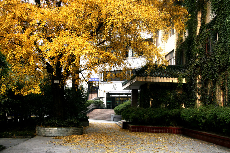 成都石室中學(xué)2017年初、高中藝體特長(zhǎng)生招生辦法