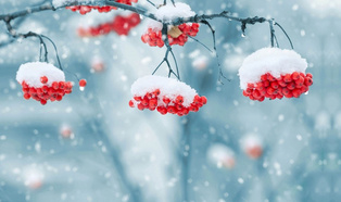 教育孩子拼的是什么？經(jīng)濟(jì)實(shí)力？階層實(shí)力？