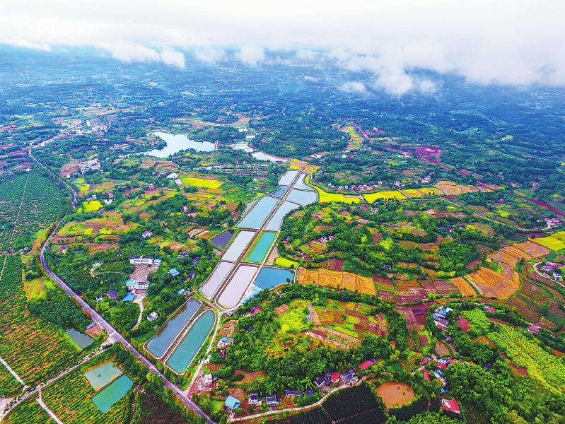 全省教育系統(tǒng)掀起傳達(dá)學(xué)習(xí)貫徹習(xí)近平總書記來(lái)川視察重要講話精神熱潮