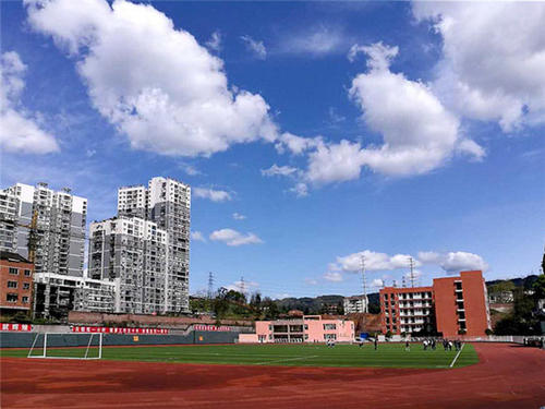 明年起四川省中小學?！肮裢小?，新政可能帶來哪些變化