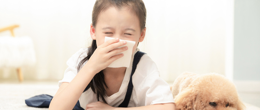 開(kāi)學(xué)季撞上過(guò)敏季：怎么幫孩子平安度過(guò)“多事之秋”？